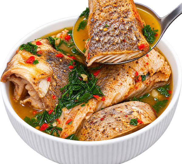 Croaket-fish-2